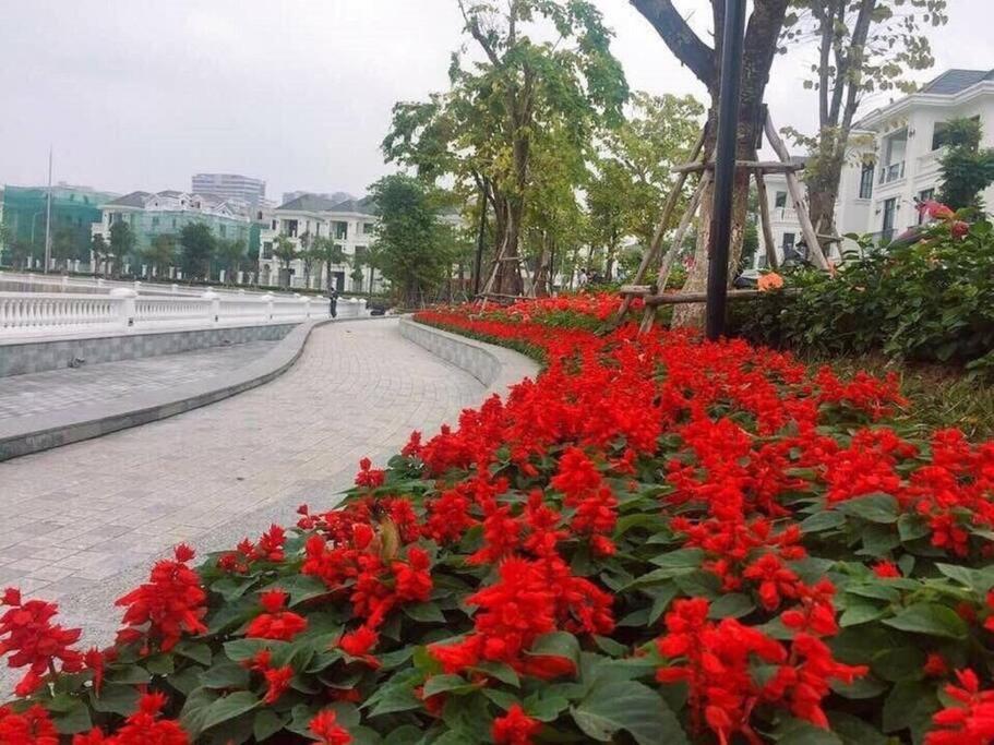 - Vinhomes Bay * Hanoi